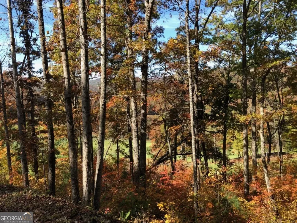 J35 Bent Grass Clayton, GA 30525