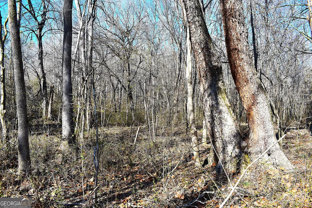 2977 Georgia Highway 120 Tallapoosa, GA 30176