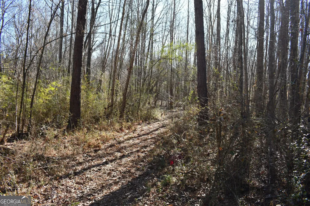 2977 Georgia Highway 120 Tallapoosa, GA 30176