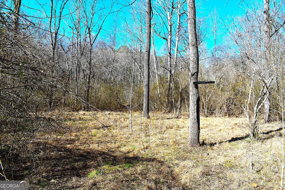 2977 Georgia Highway 120 Tallapoosa, GA 30176