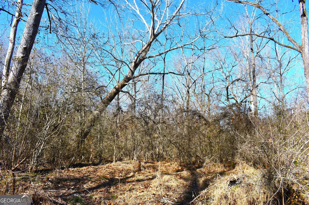 2977 Georgia Highway 120 Tallapoosa, GA 30176