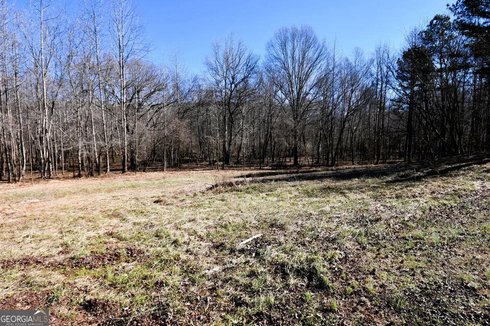 2977 Georgia Highway 120 Tallapoosa, GA 30176