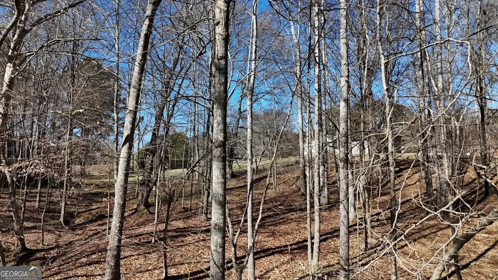 2977 Georgia Highway 120 Tallapoosa, GA 30176