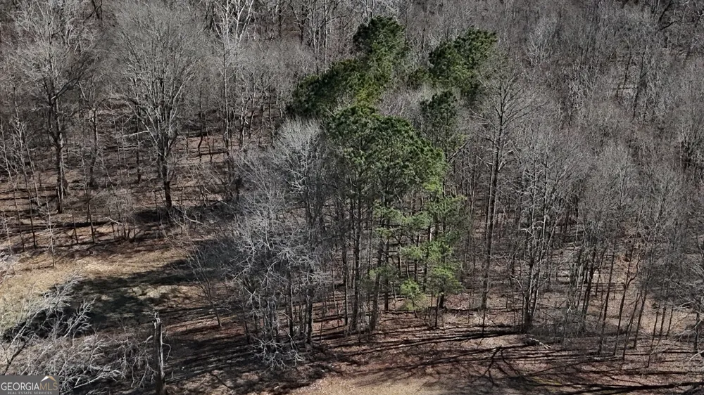 2977 Georgia Highway 120 Tallapoosa, GA 30176
