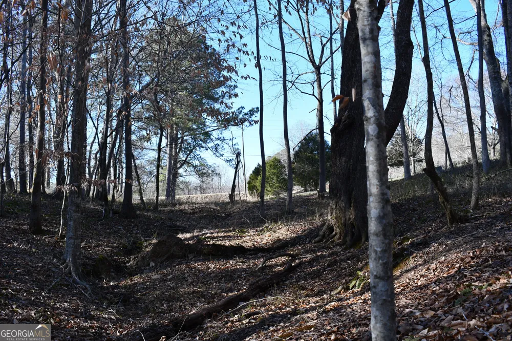 2977 Georgia Highway 120 Tallapoosa, GA 30176