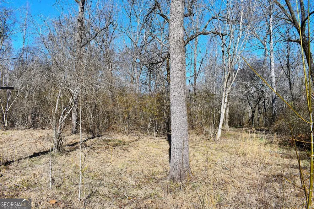 2977 Georgia Highway 120 Tallapoosa, GA 30176