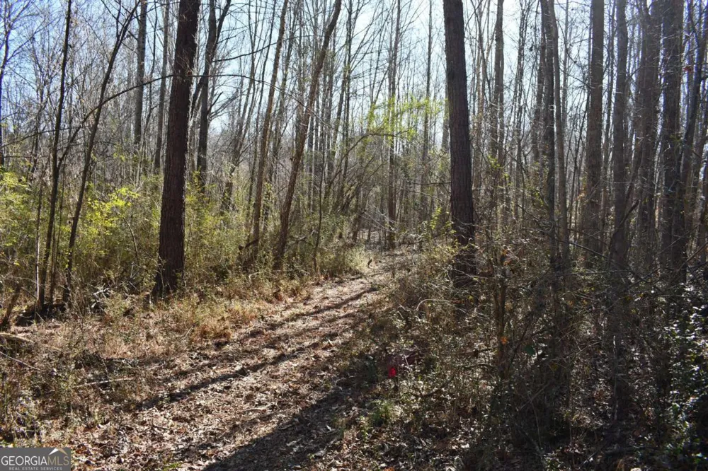 2977 Georgia Highway 120 Tallapoosa, GA 30176