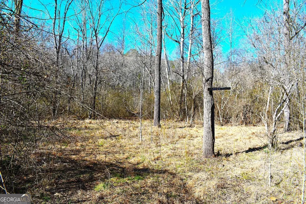 2977 Georgia Highway 120 Tallapoosa, GA 30176
