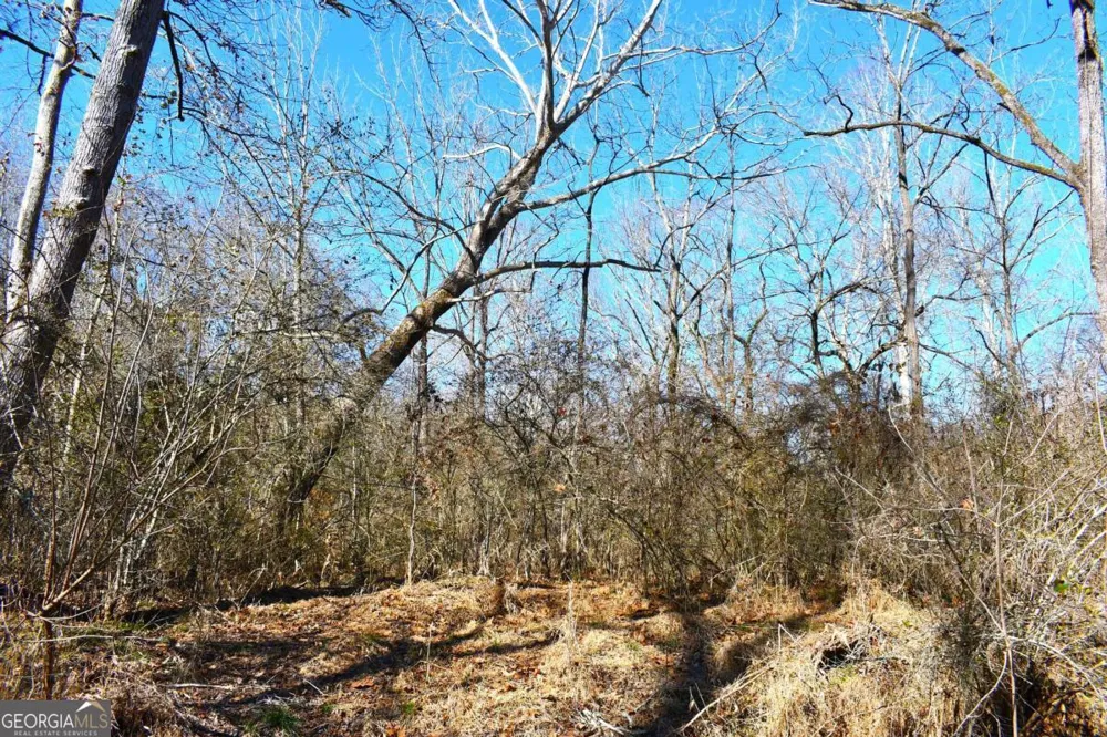 2977 Georgia Highway 120 Tallapoosa, GA 30176