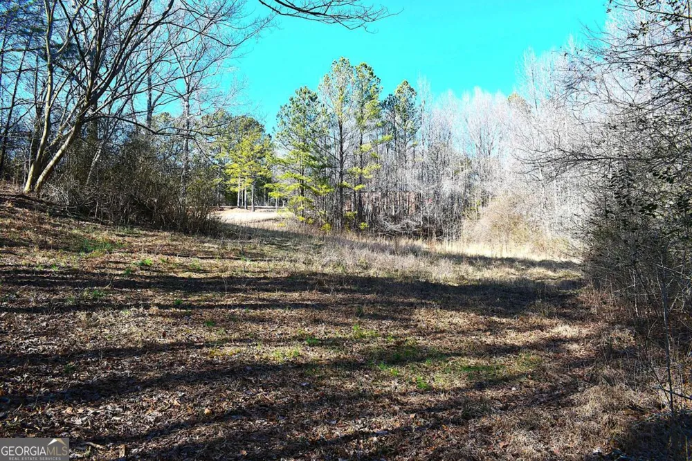 2977 Georgia Highway 120 Tallapoosa, GA 30176