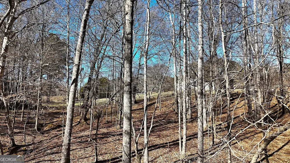 2977 Georgia Highway 120 Tallapoosa, GA 30176