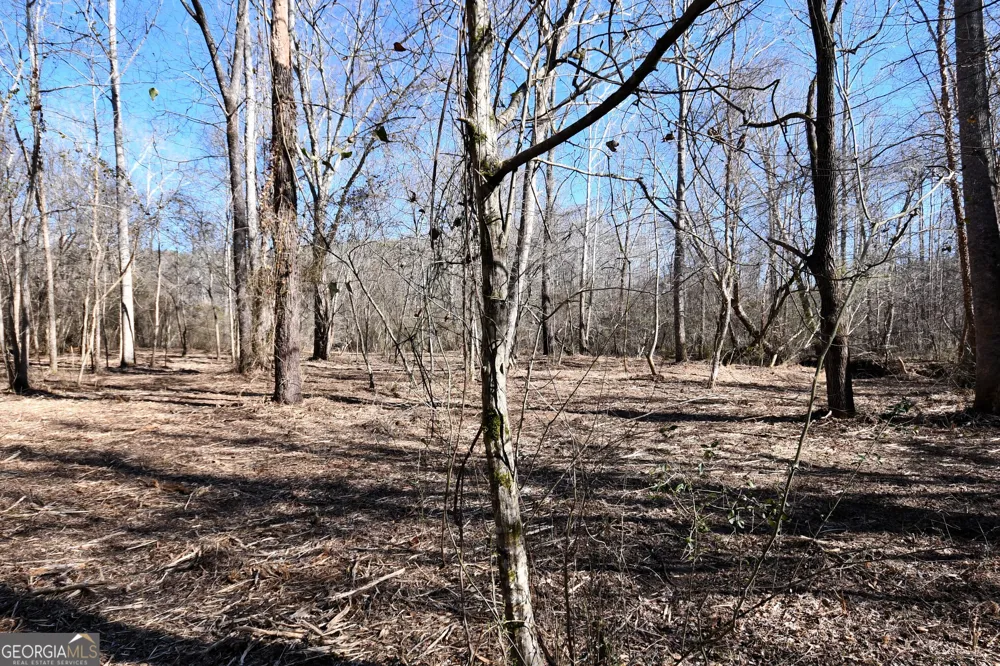 2977 Georgia Highway 120 Tallapoosa, GA 30176