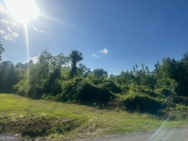 0 Warnell AVE Pembroke, GA 31321