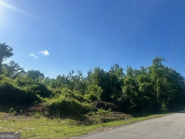 0 Warnell AVE Pembroke, GA 31321