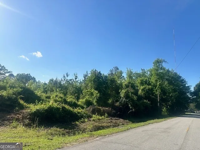 0 Warnell AVE Pembroke, GA 31321
