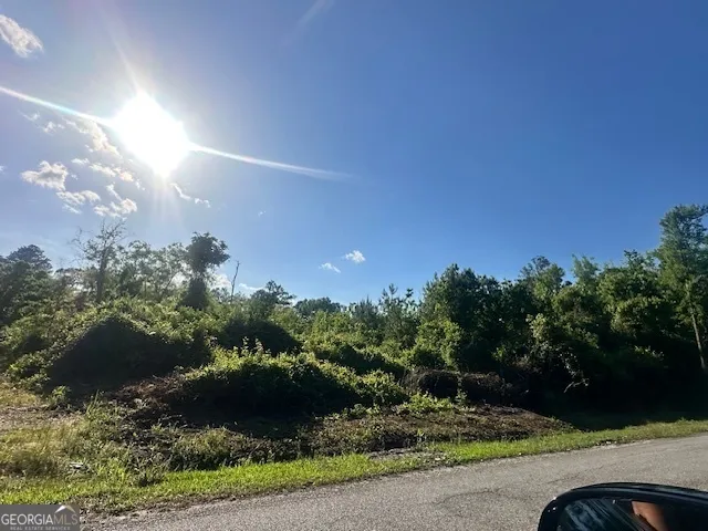 0 Warnell AVE Pembroke, GA 31321
