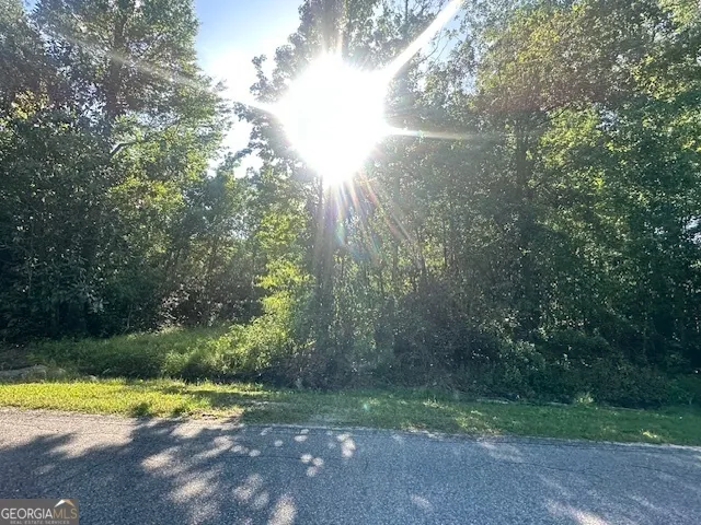 0 Warnell AVE Pembroke, GA 31321