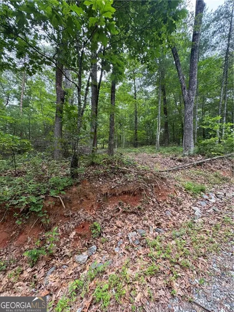 0 Nimblewill Creek RD