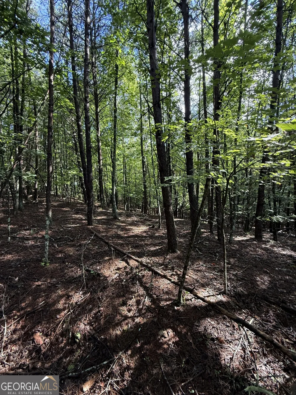 LOT 5 Marci LN Sautee Nacoochee, GA 30571