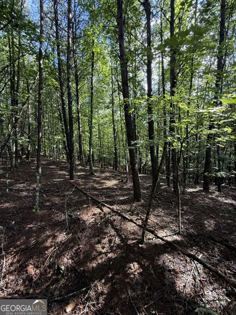 LOT 5 Marci LN