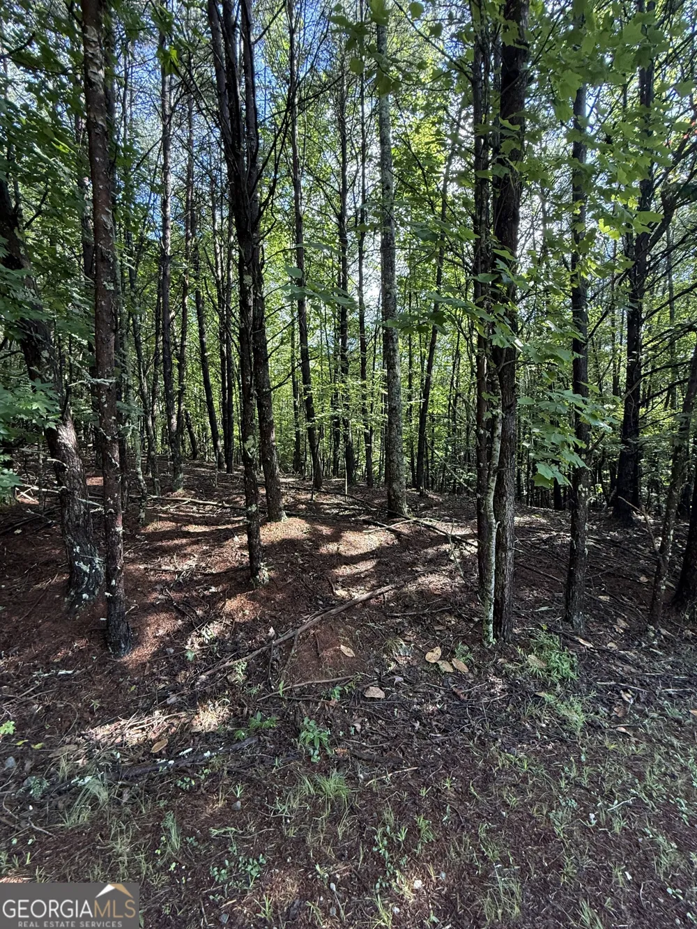 LOT 4 Marci LN Sautee Nacoochee, GA 30571