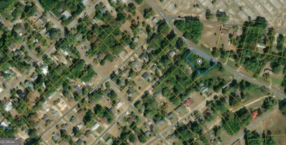 0 Forest AVE Eastman, GA 31023
