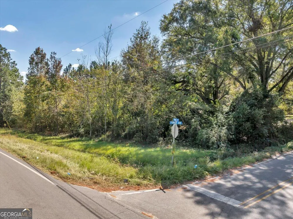 0 Forest AVE Eastman, GA 31023