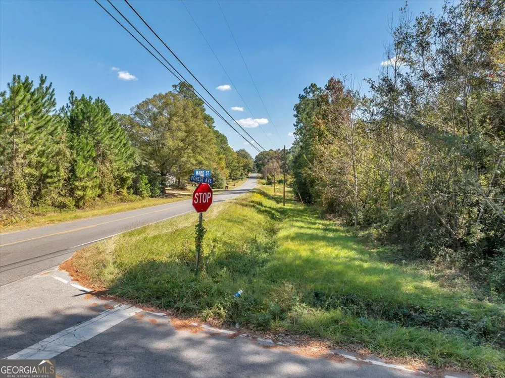 0 Forest AVE Eastman, GA 31023