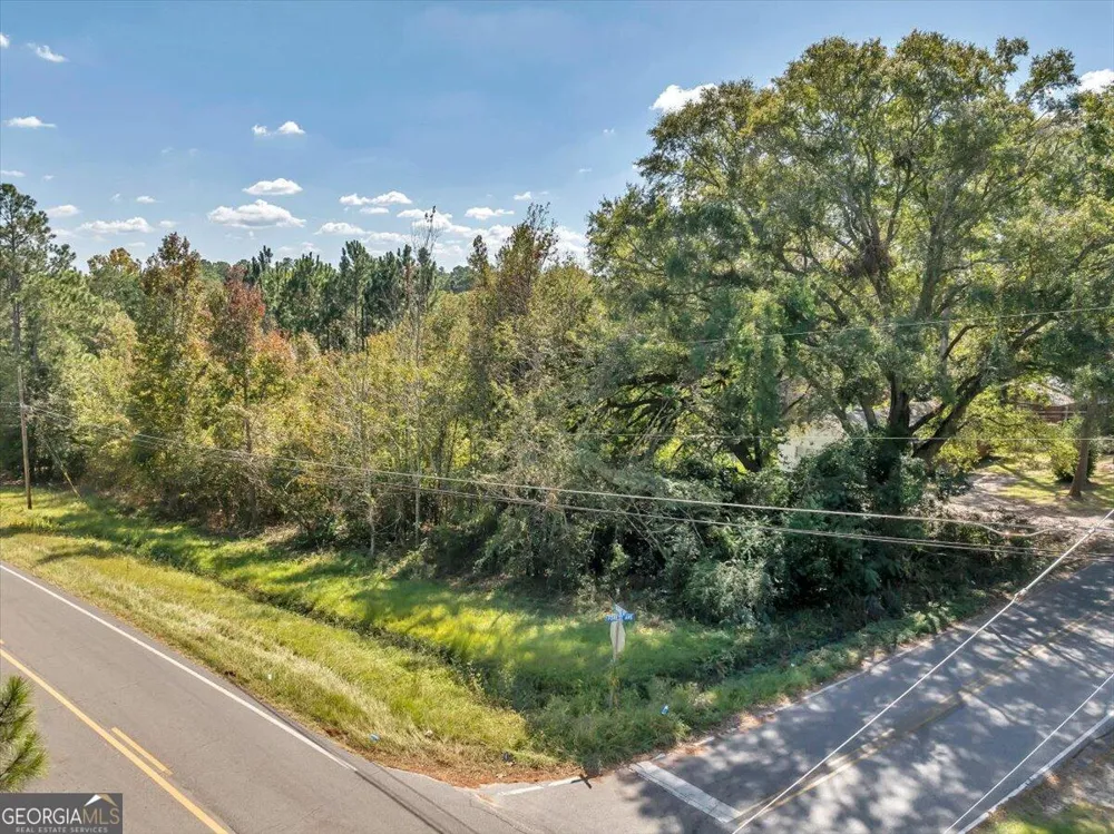 0 Forest AVE Eastman, GA 31023