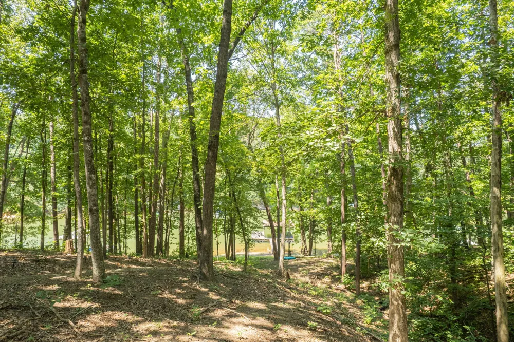 396 Cardinal LN Toccoa, GA 30577