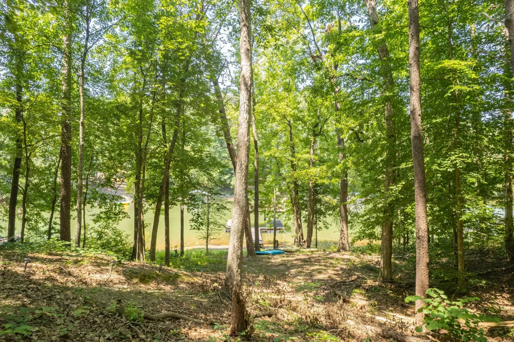 396 Cardinal LN Toccoa, GA 30577