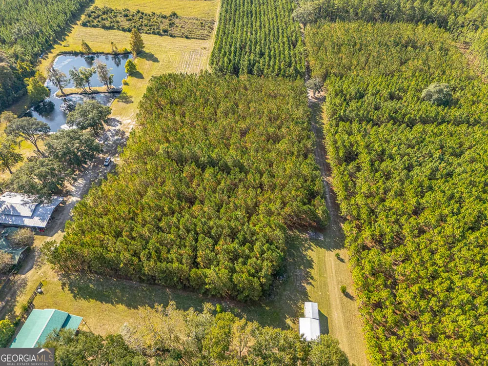 300 Elliott RD Waynesville, GA 31566