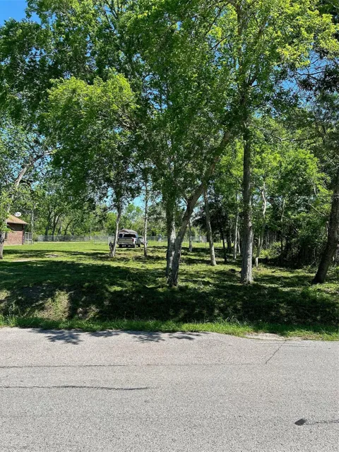 2523 Timber Drive