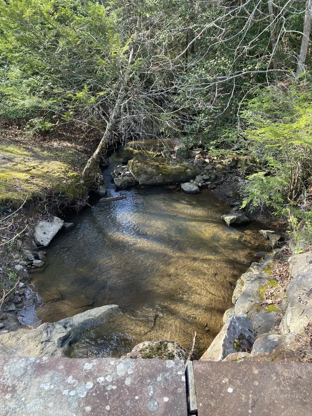 305 Timberwood Trace