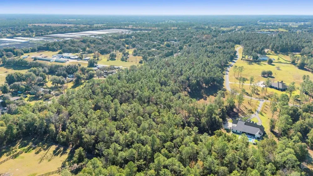 24250 DEEP SPRINGS LOOP Eustis, FL 32736