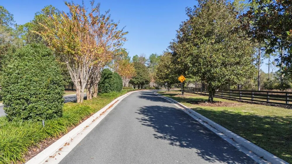 24250 DEEP SPRINGS LOOP Eustis, FL 32736