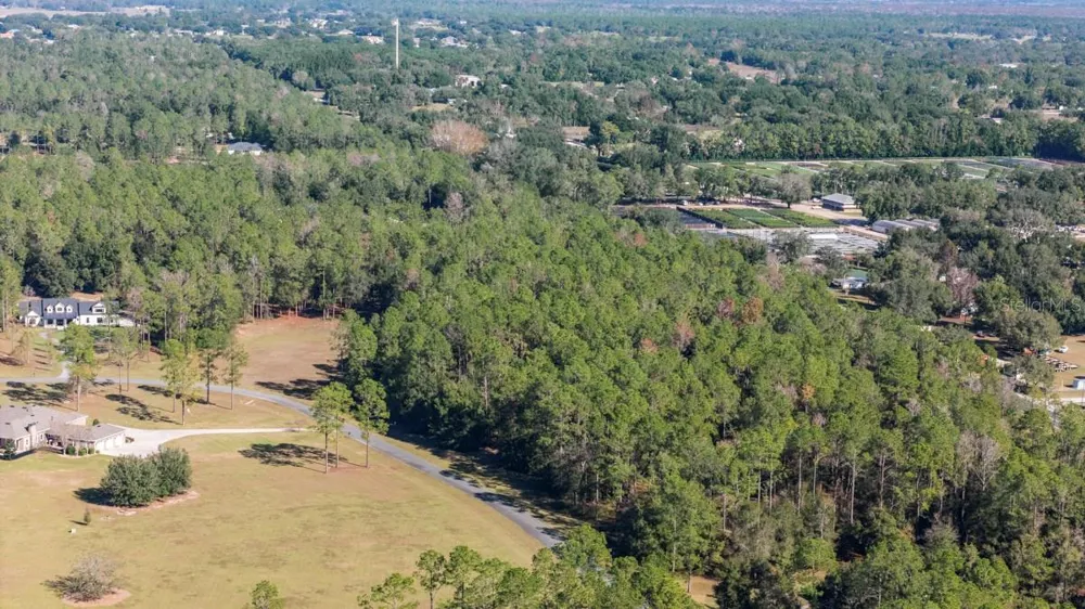 24250 DEEP SPRINGS LOOP Eustis, FL 32736