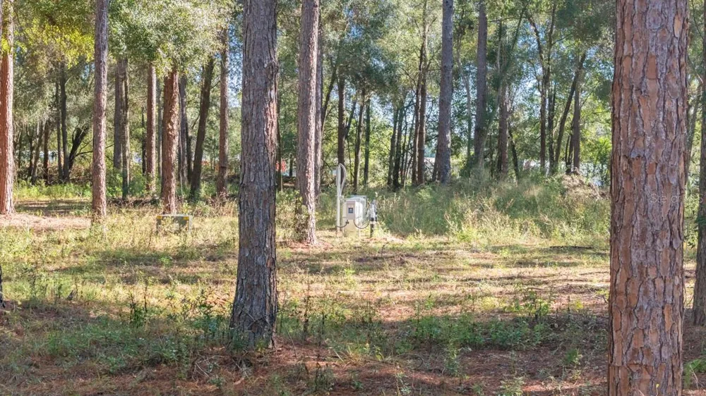 24250 DEEP SPRINGS LOOP Eustis, FL 32736