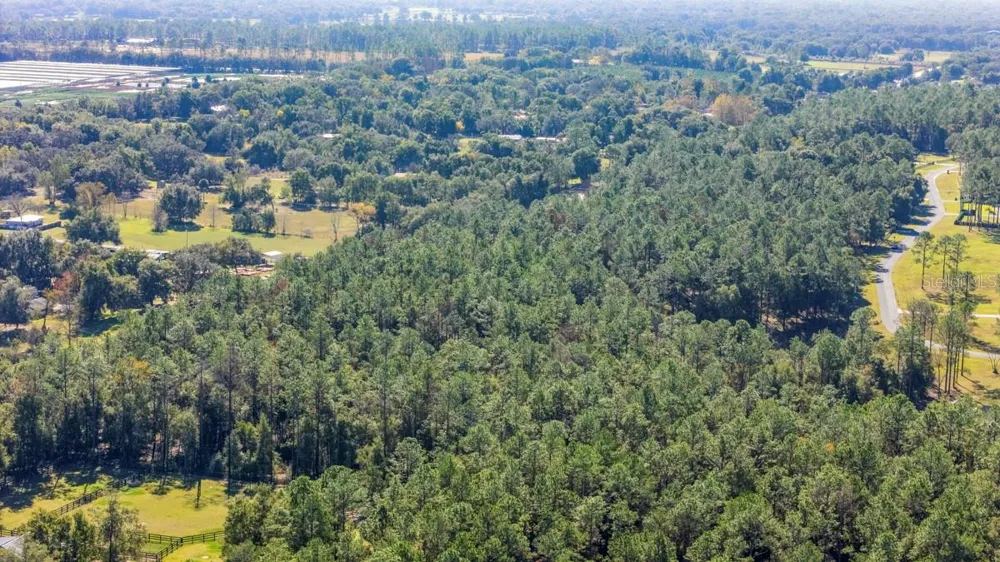24250 DEEP SPRINGS LOOP Eustis, FL 32736