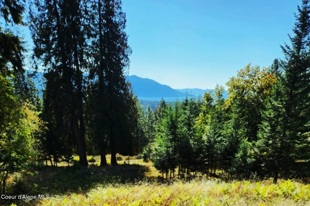 NKA Enchanted Forest (Lot 3) Lane Hope, ID 83836