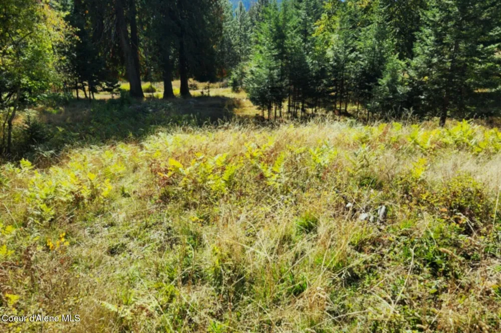 NKA Enchanted Forest (Lot 3) Lane Hope, ID 83836