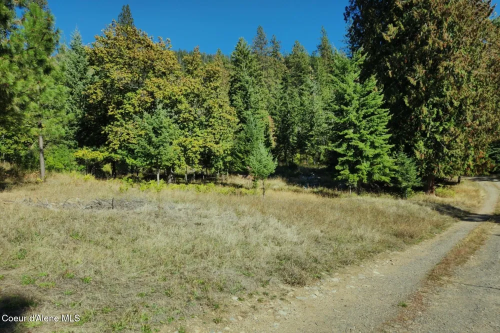 NKA Enchanted Forest (Lot 3) Lane Hope, ID 83836