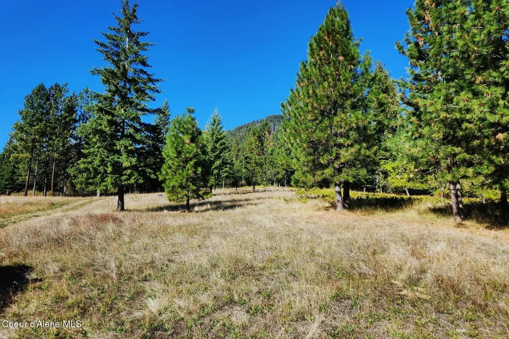 NKA Enchanted Forest (Lot 3) Lane Hope, ID 83836