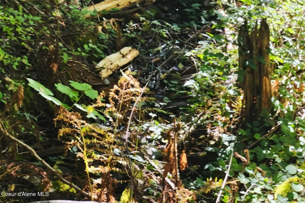 NKA Enchanted Forest (Lot 3) Lane Hope, ID 83836