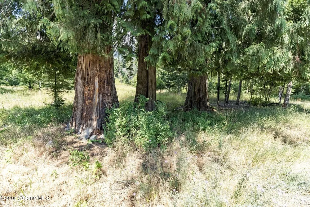 NKA Enchanted Forest (Lot 3) Lane Hope, ID 83836