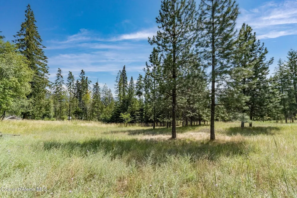 NKA Enchanted Forest (Lot 3) Lane Hope, ID 83836