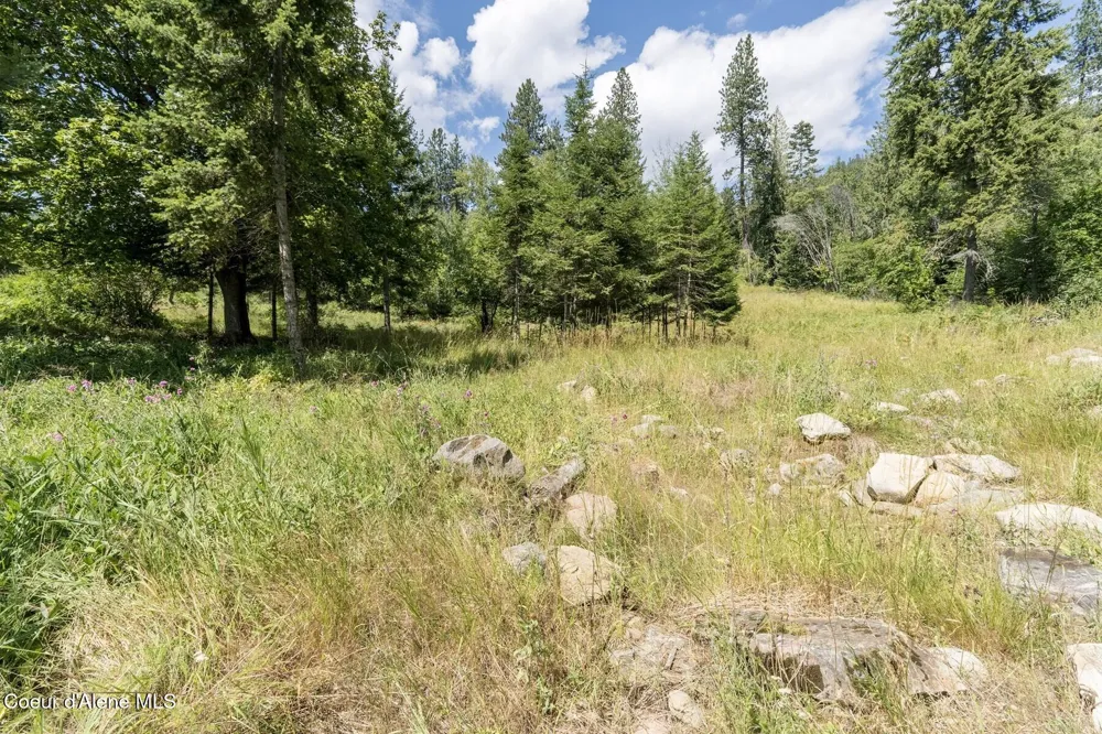 NKA Enchanted Forest (Lot 3) Lane Hope, ID 83836