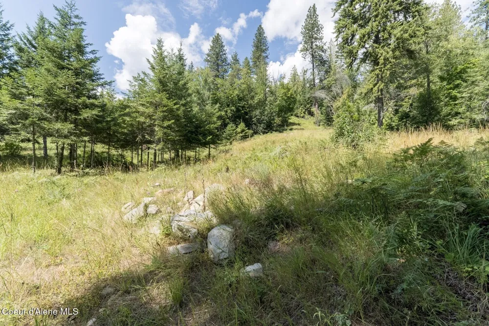 NKA Enchanted Forest (Lot 3) Lane Hope, ID 83836