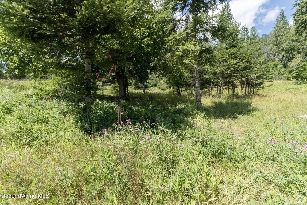 NKA Enchanted Forest (Lot 3) Lane Hope, ID 83836