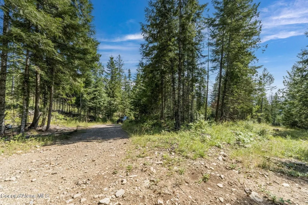 NKA Enchanted Forest (Lot 3) Lane Hope, ID 83836